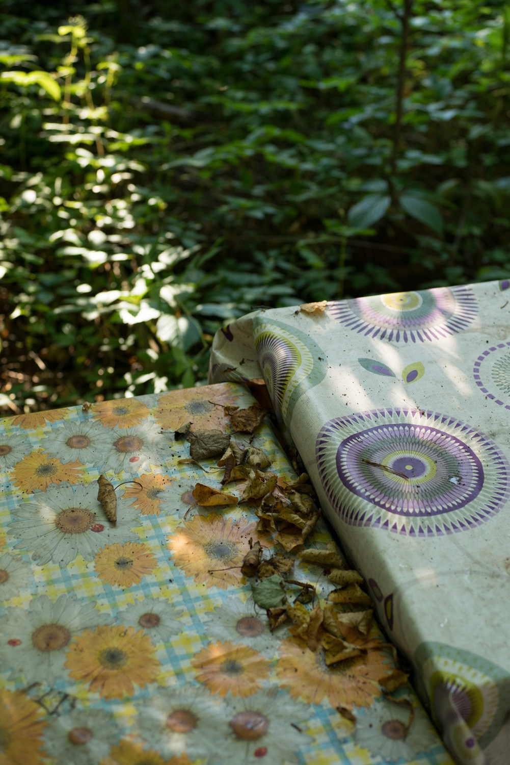 Summer Recurrences. Пётр Антонов