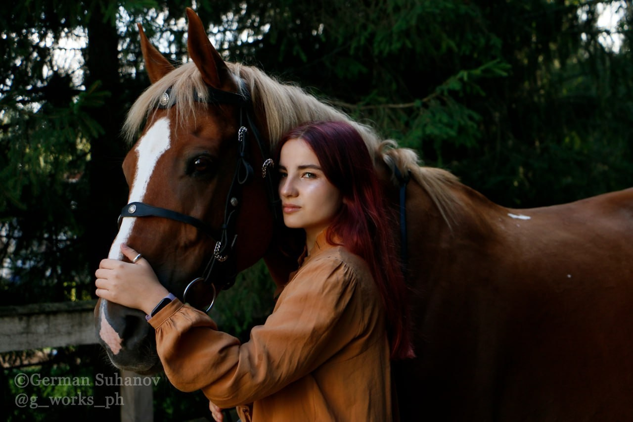 Horses. AVE CONCEPT by German S
