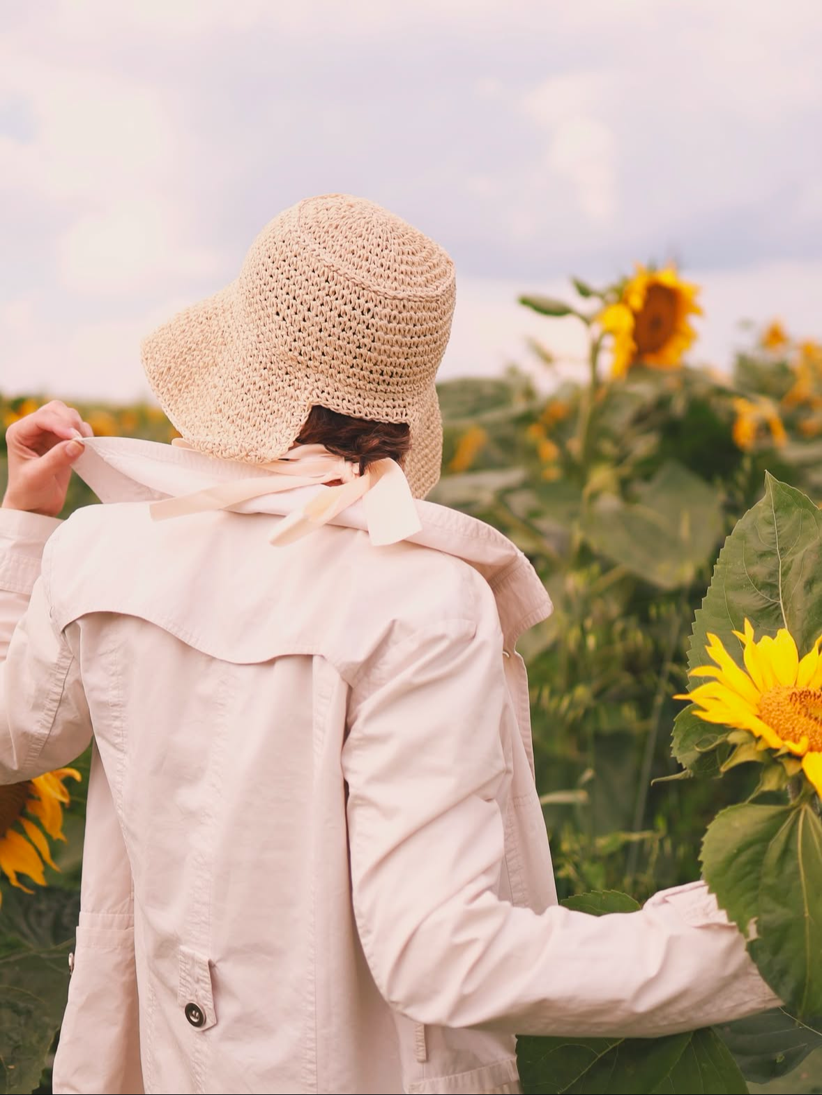 Подсолнухи. Семейный и свадебный фотограф в Минске Юлия Грин