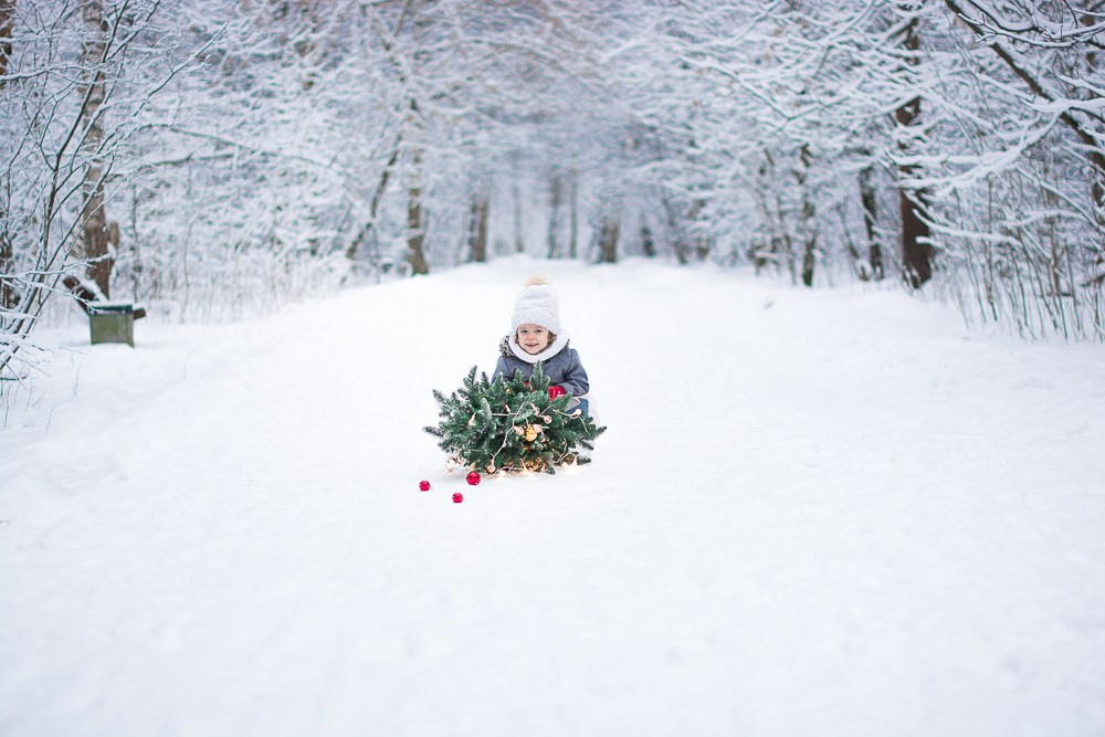 Зима в лесу. Фотосессия беременности — Крылова Натали — Москва