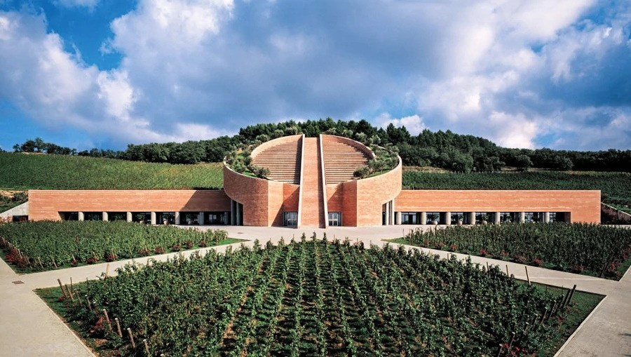 Petra Winery Италия. Фотограф для маркетплейсов Михаил Бове