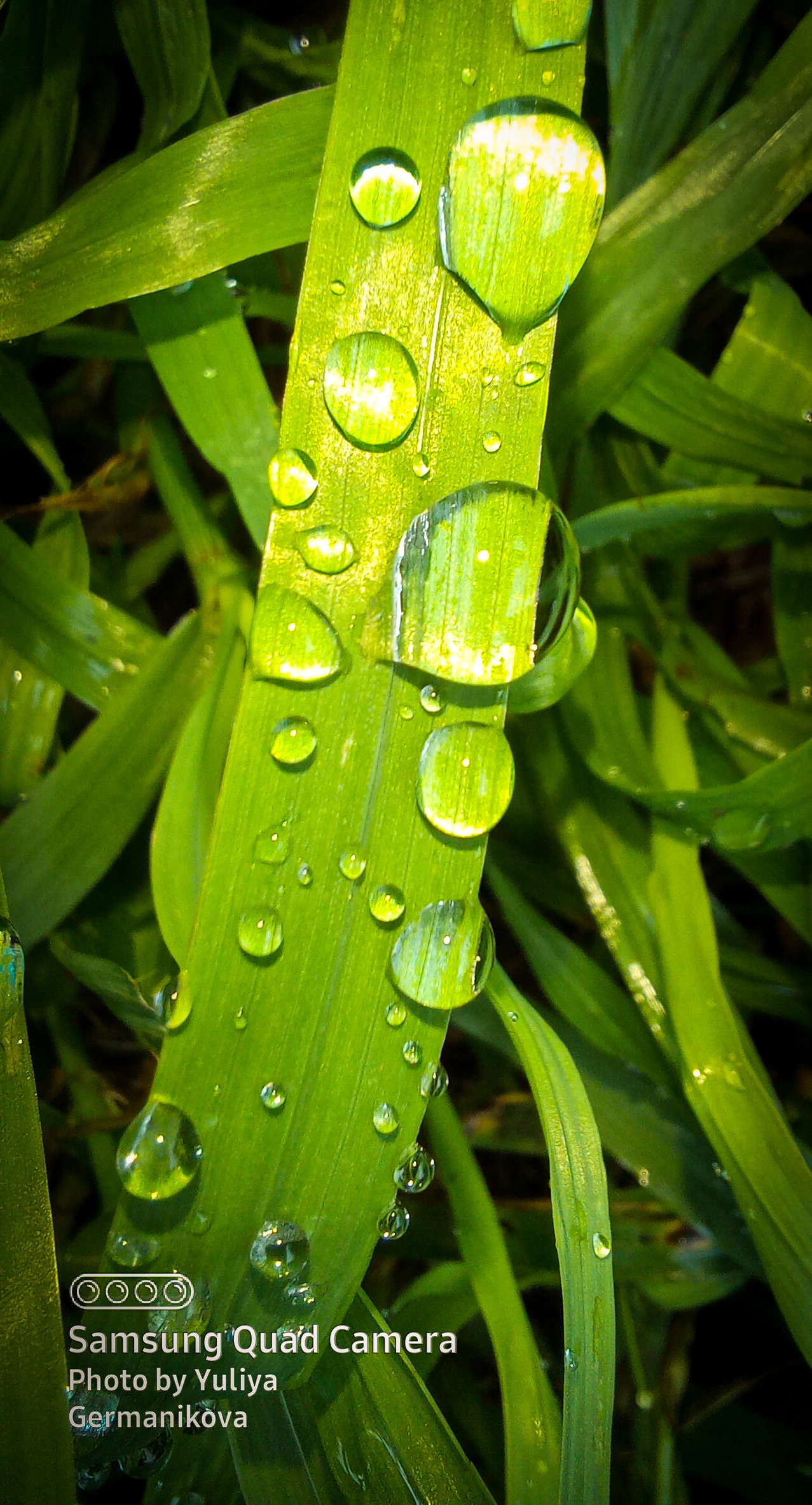 Разные фото на телефон.Города,природа. Фотограф-анималист Юлия Германика