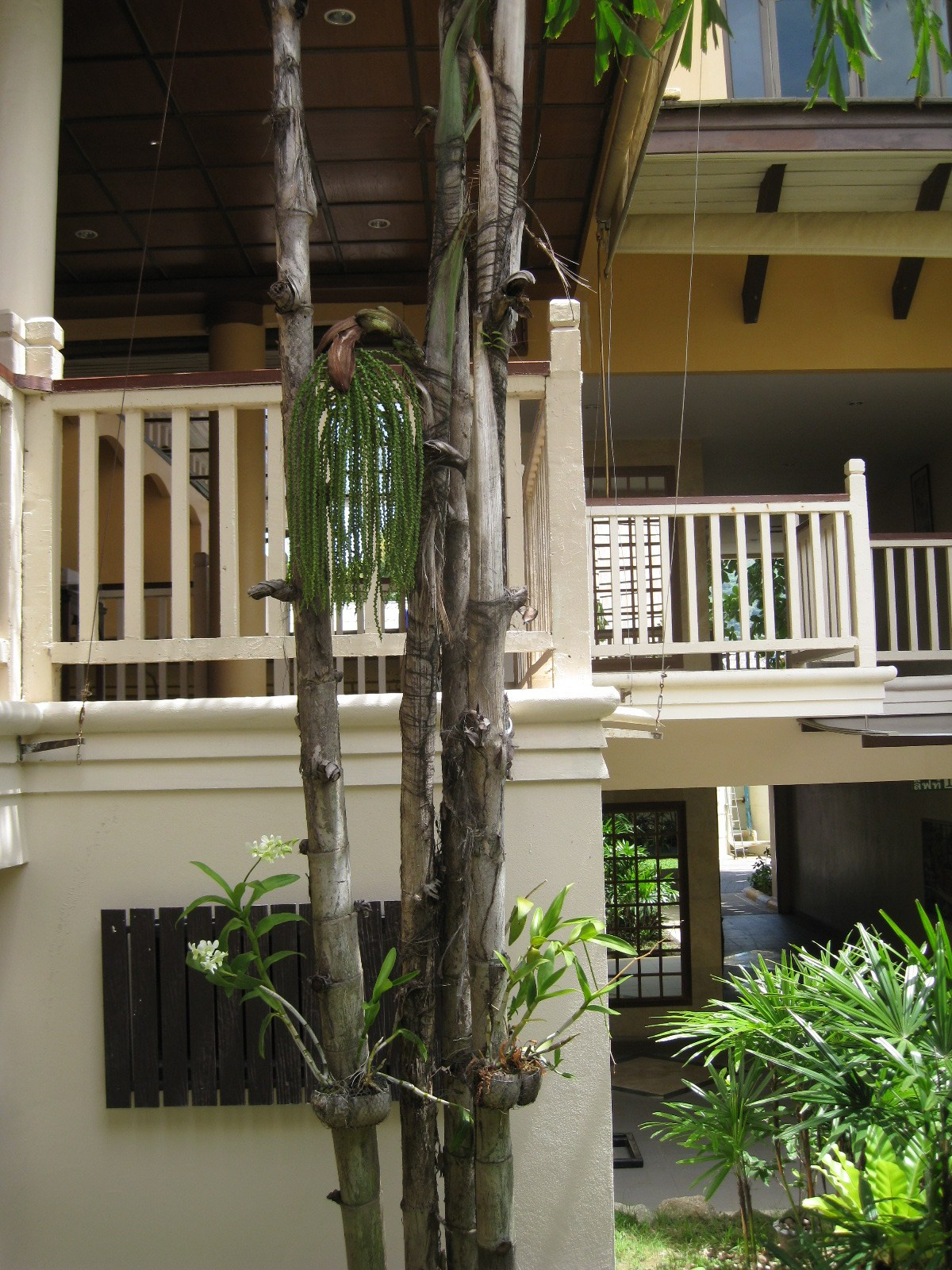 Тайланд 2012 г. Улица, люди, жизнь…