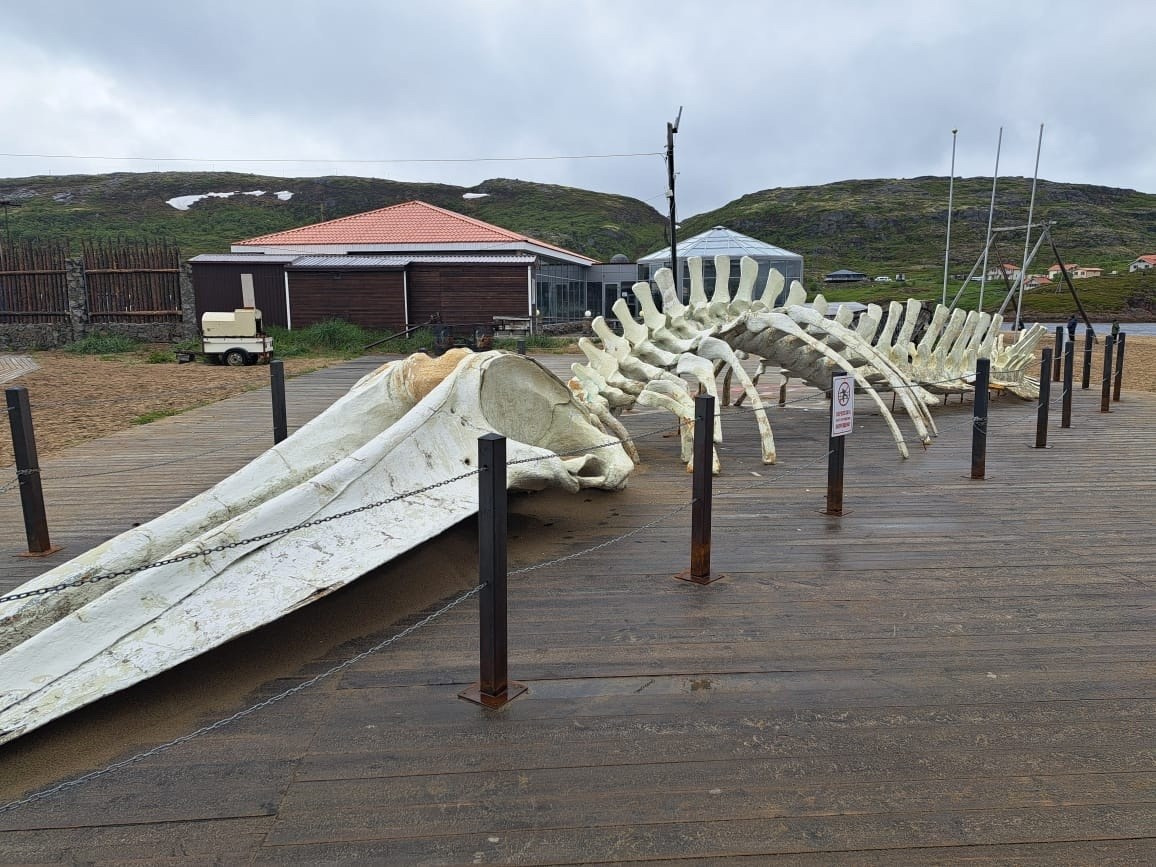 Мурманск | 20-22.06.2025. Галерея Фантим