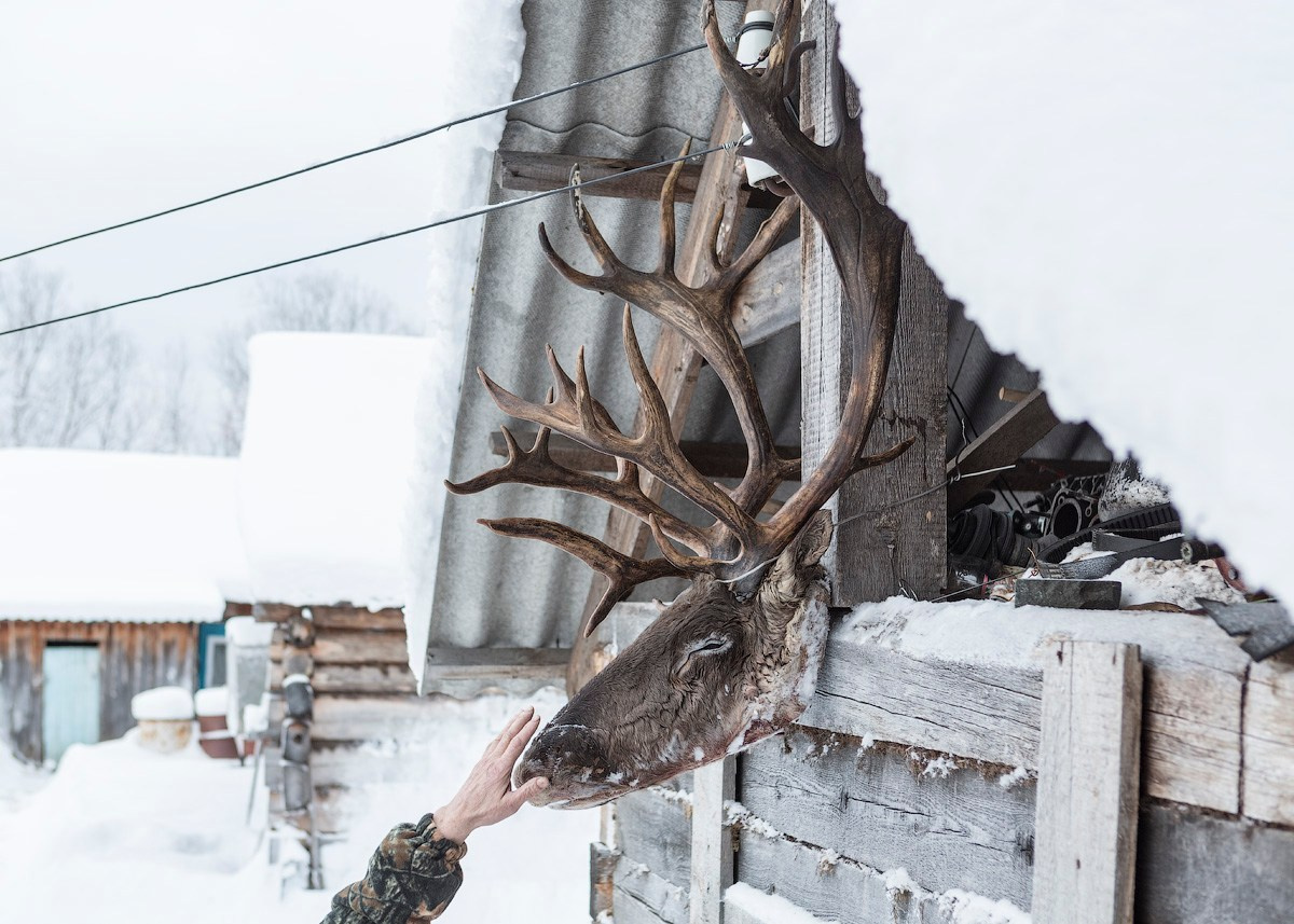 Атлас первого снега серия фотографий. Елена Аносова — художница и исследовательница, куратор и лектор
