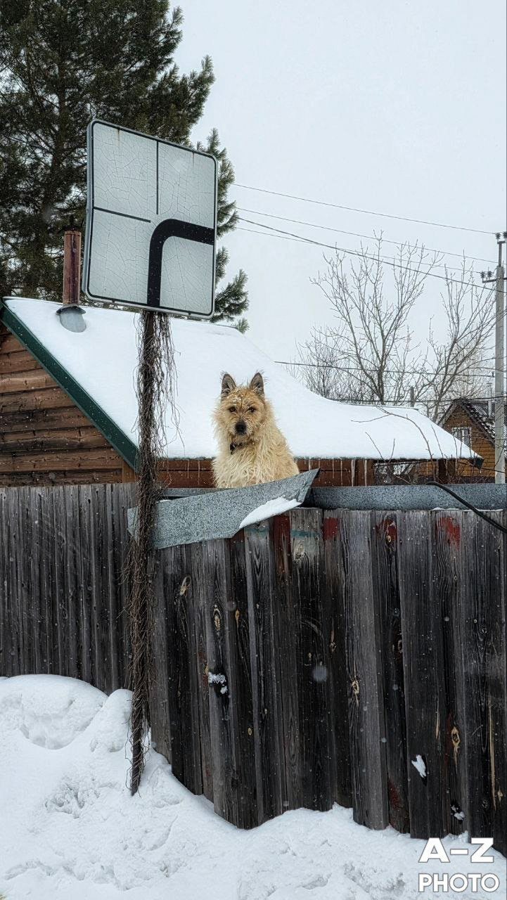 #ФОТОНЕДЕЛИ 16.03.2026. Женский семейный фотограф Тула Москва Захарова Анна
