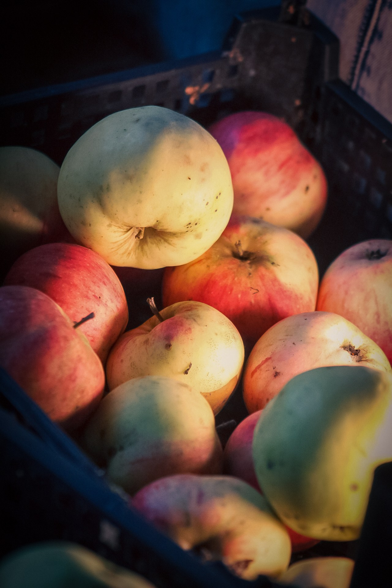 Цвета. Dmitriy [KCCC] is a pretty cool photographer