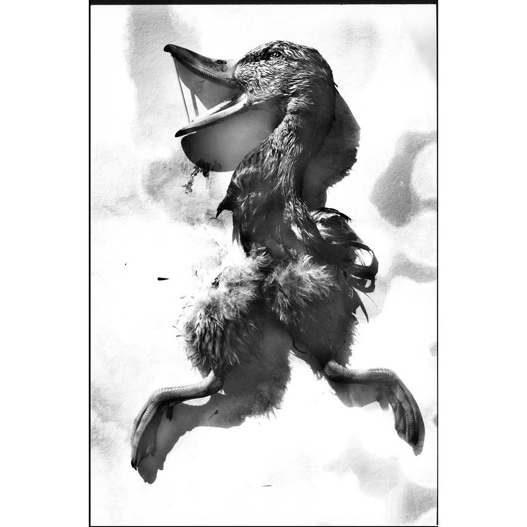 Иконическое. Избранное. Бесценное. Punctum