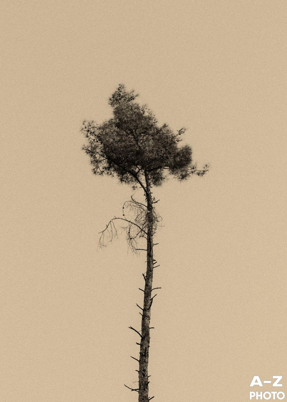 #ФОТОНЕДЕЛИ 08.12.2025. Женский семейный фотограф Тула Москва Захарова Анна