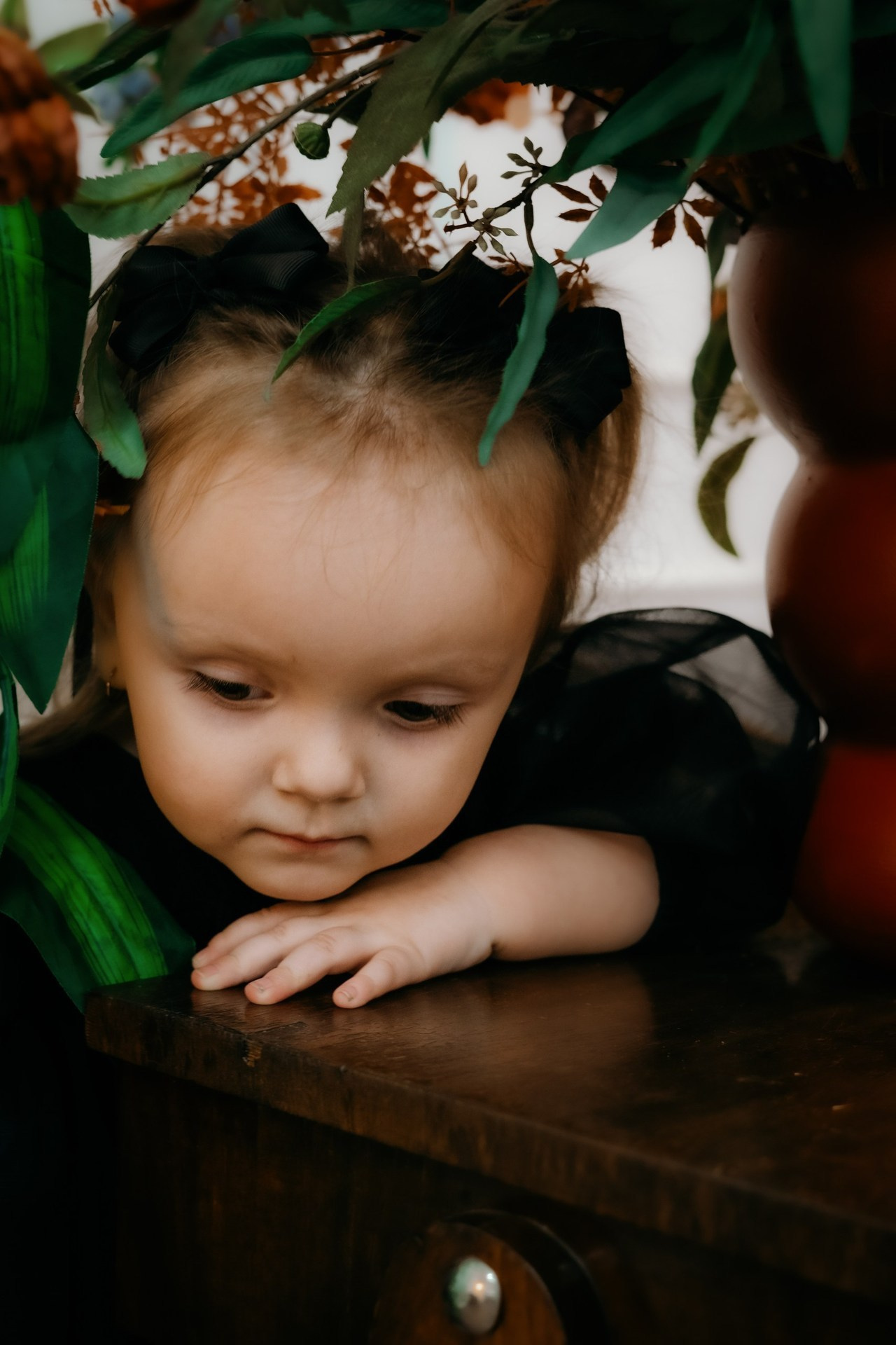 Отзывы. Фотограф Москва