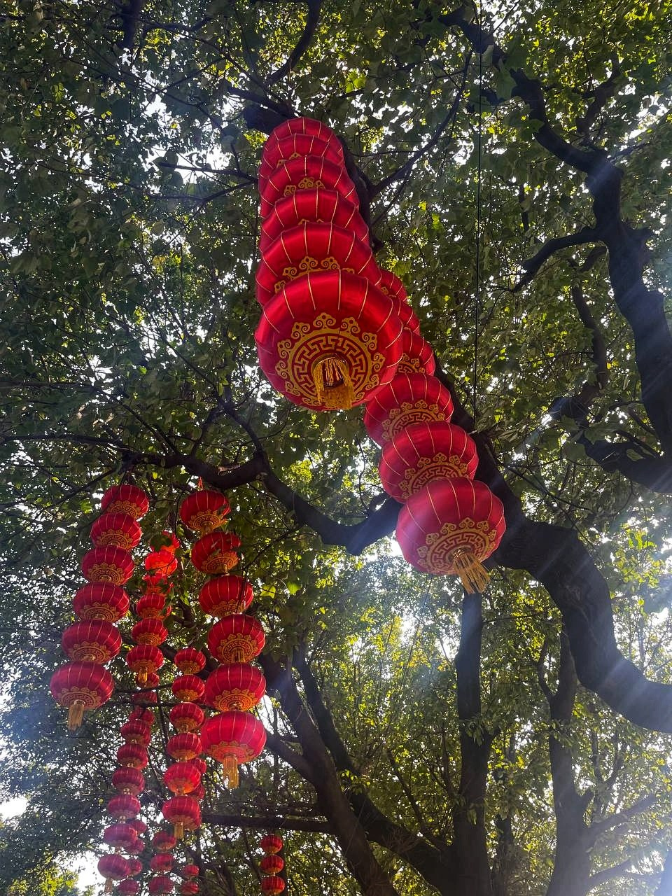 Гуанчжоу. Фотограф в Перми Любовь Огородова | Авторские туры