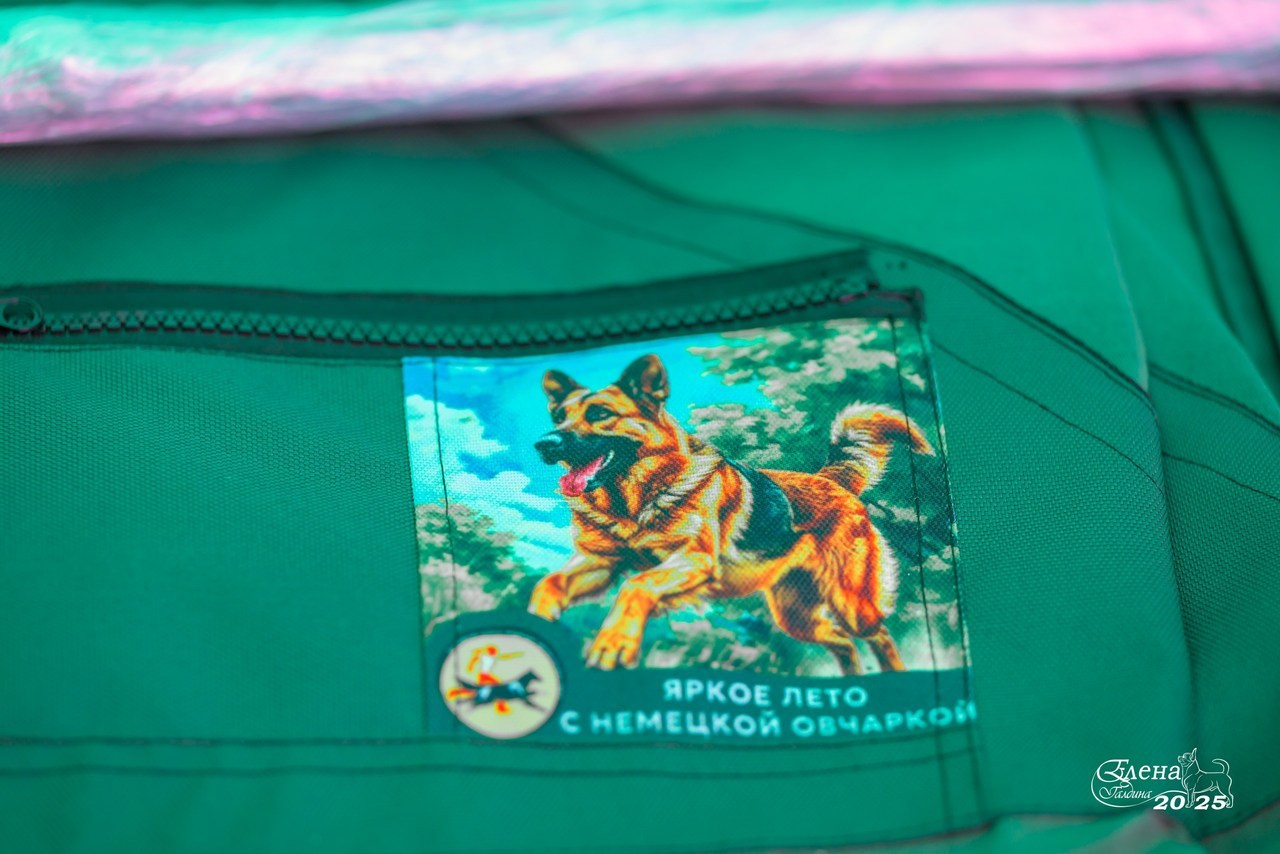 Отзывы. Фотограф анималист Елена Галдина г. Красноярск