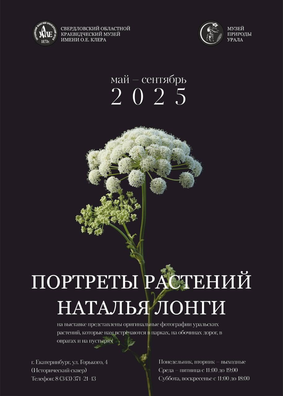 Новости. Natalia Longi