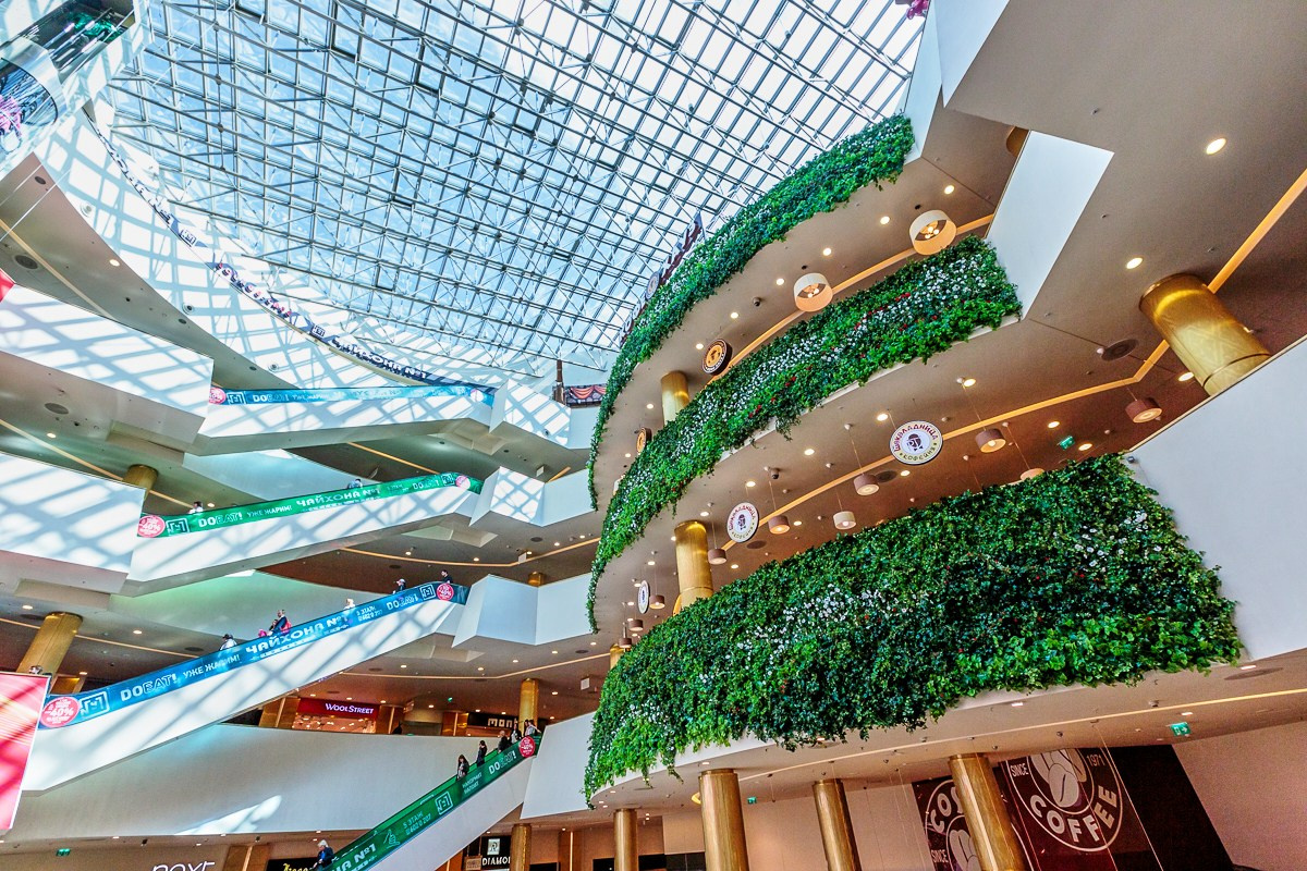 Озеленение ГК Techo. Фото и видео съемка в Сочи Адлере Красной поляне