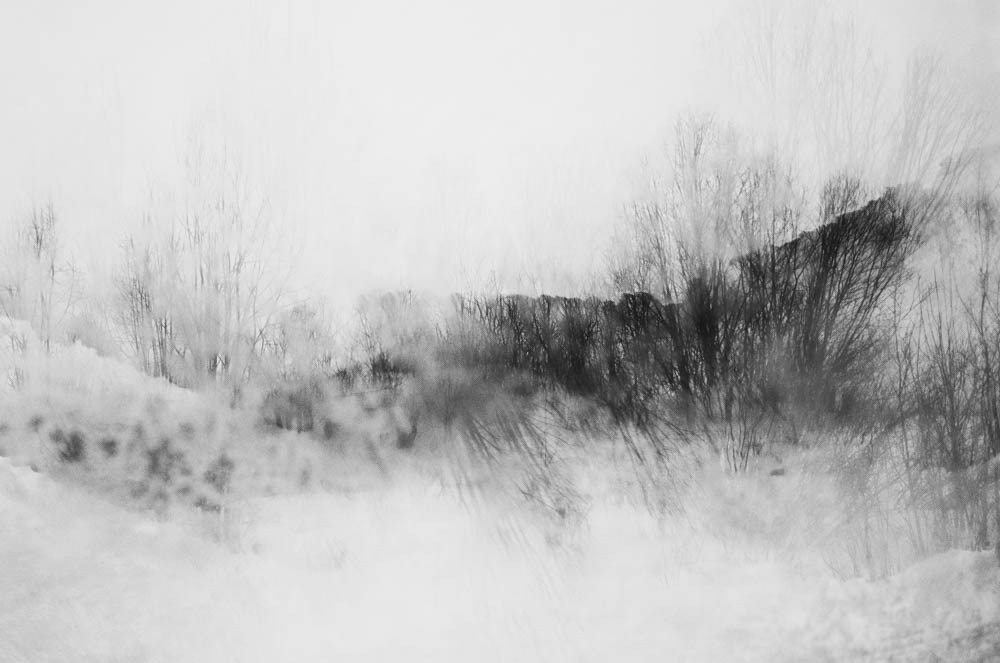 Кораль. На север к оленям. Репортажный фотограф в Сочи — Михаил Мордасов