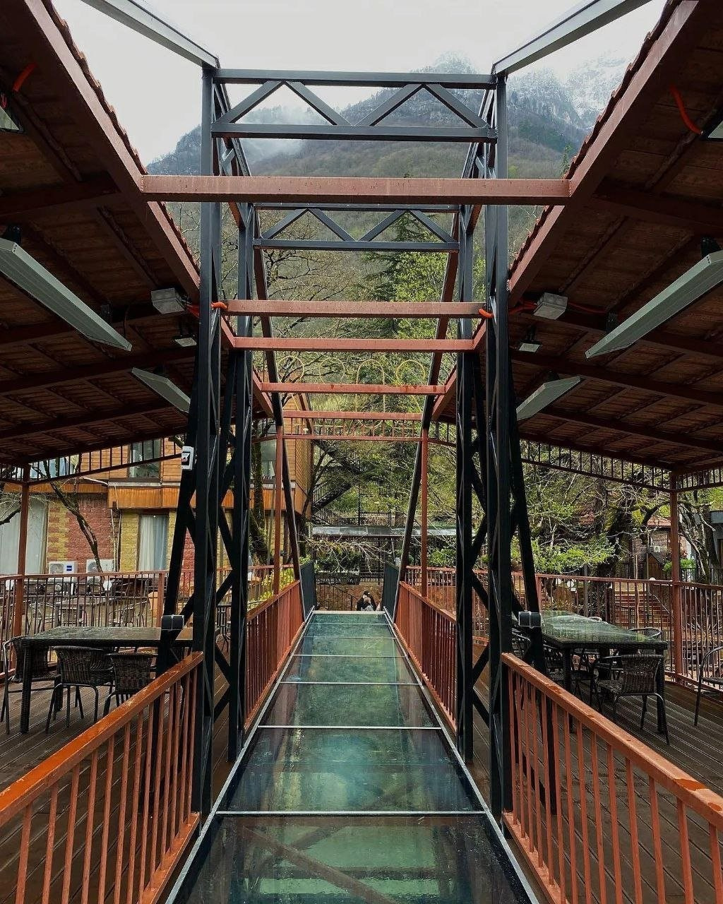 Абхазия. Мимоза. Ольга Котова