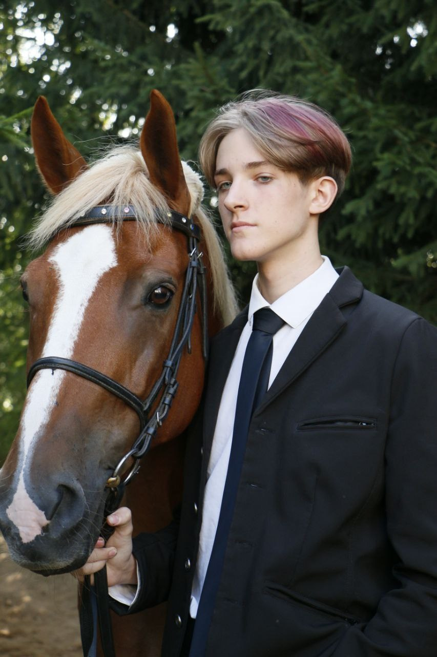 Horses. AVE CONCEPT by German S