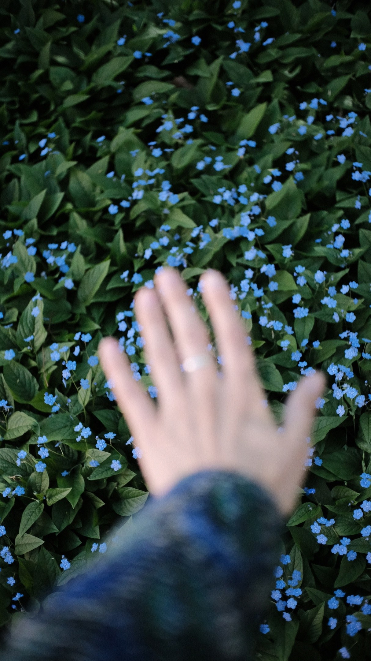 Портреты. Фотограф Анна Кирнос