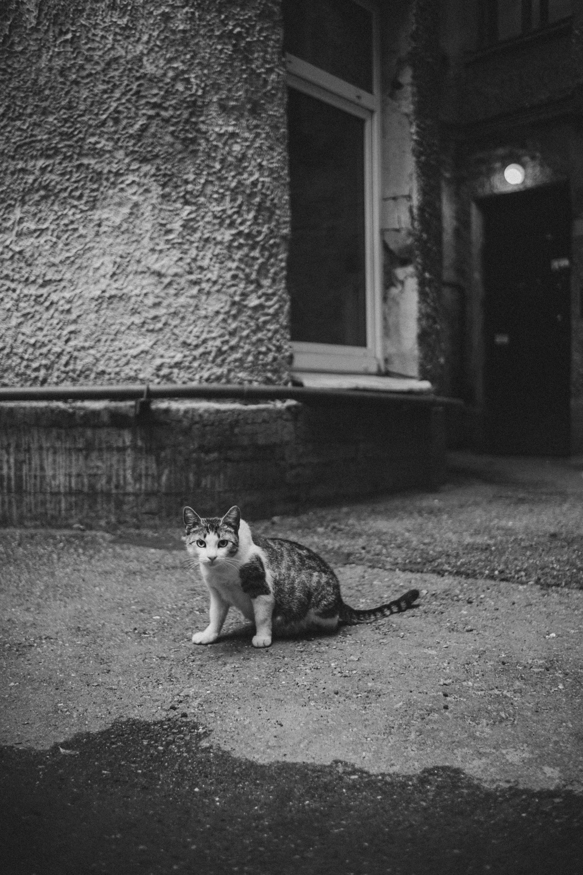 Прогулка — мужской портрет в стиле lifestyle. Фотограф в Санкт-Петербурге