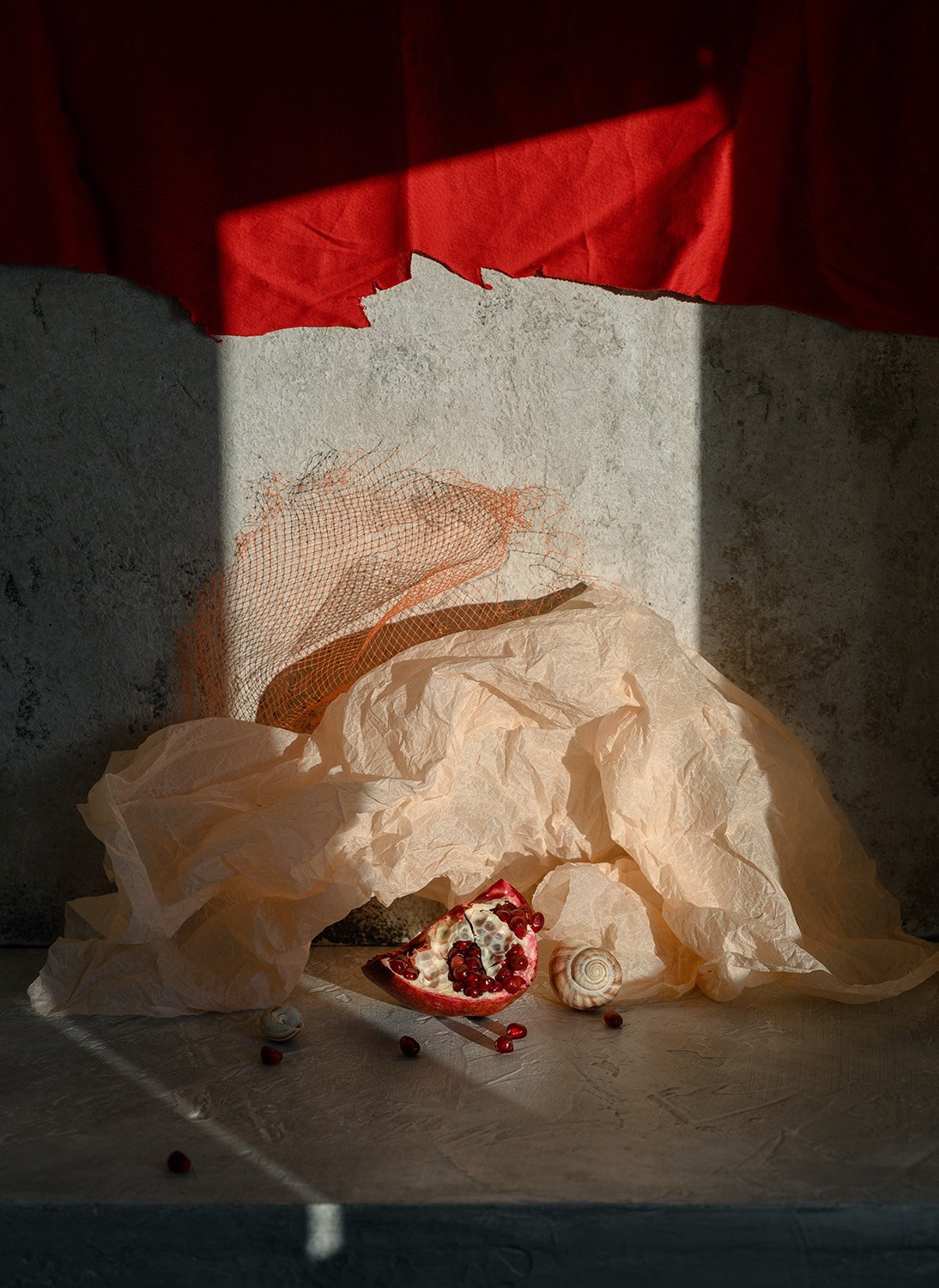 Январь 24. Фотограф Елена Хазина, Рязань