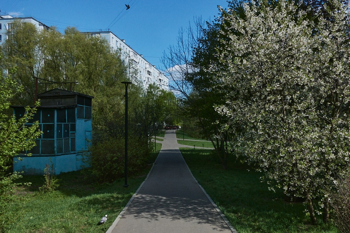 Хорошо голову не потерял. Иван Кобяков