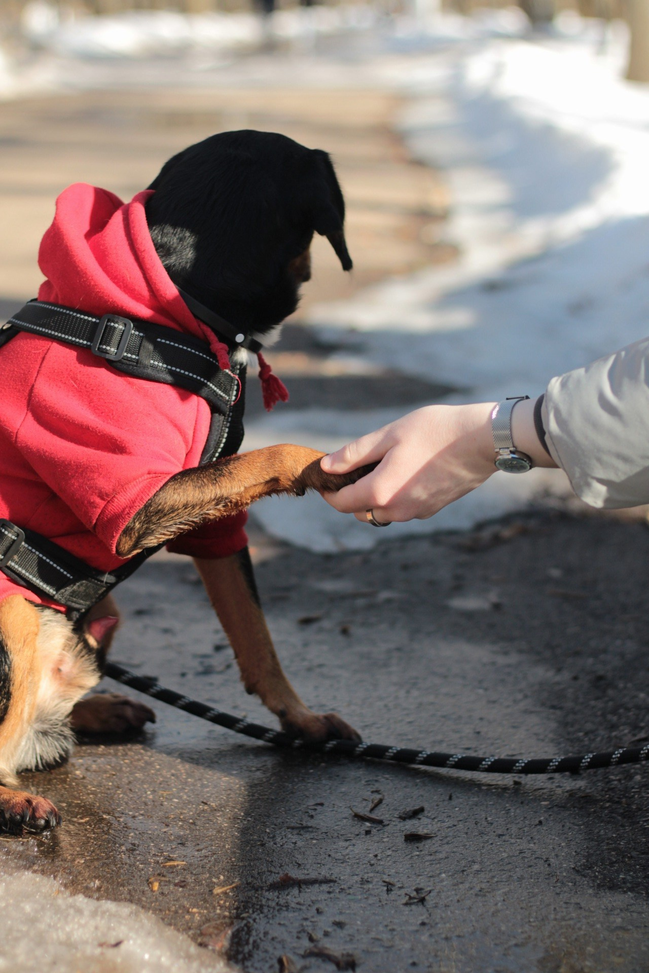 Маша и Кекс. Катя Попова|ЛайфСтайл фотограф