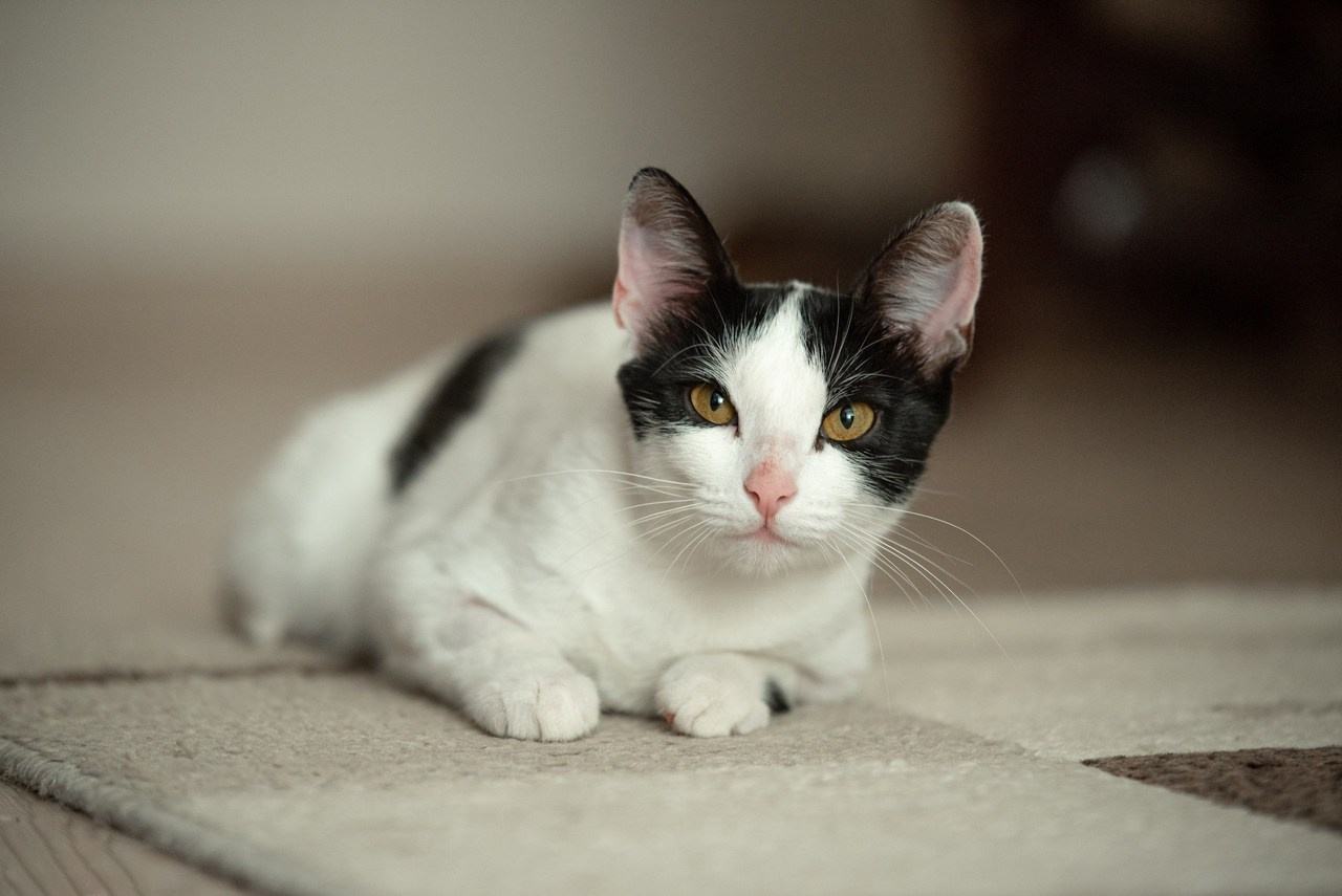 Отзывы. Фотограф Оксана Гордеева Рязань