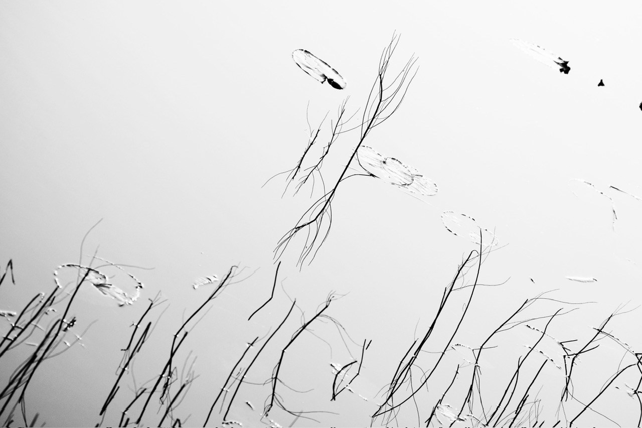 Реальная геометрия. Фотограф Евгений Андреев