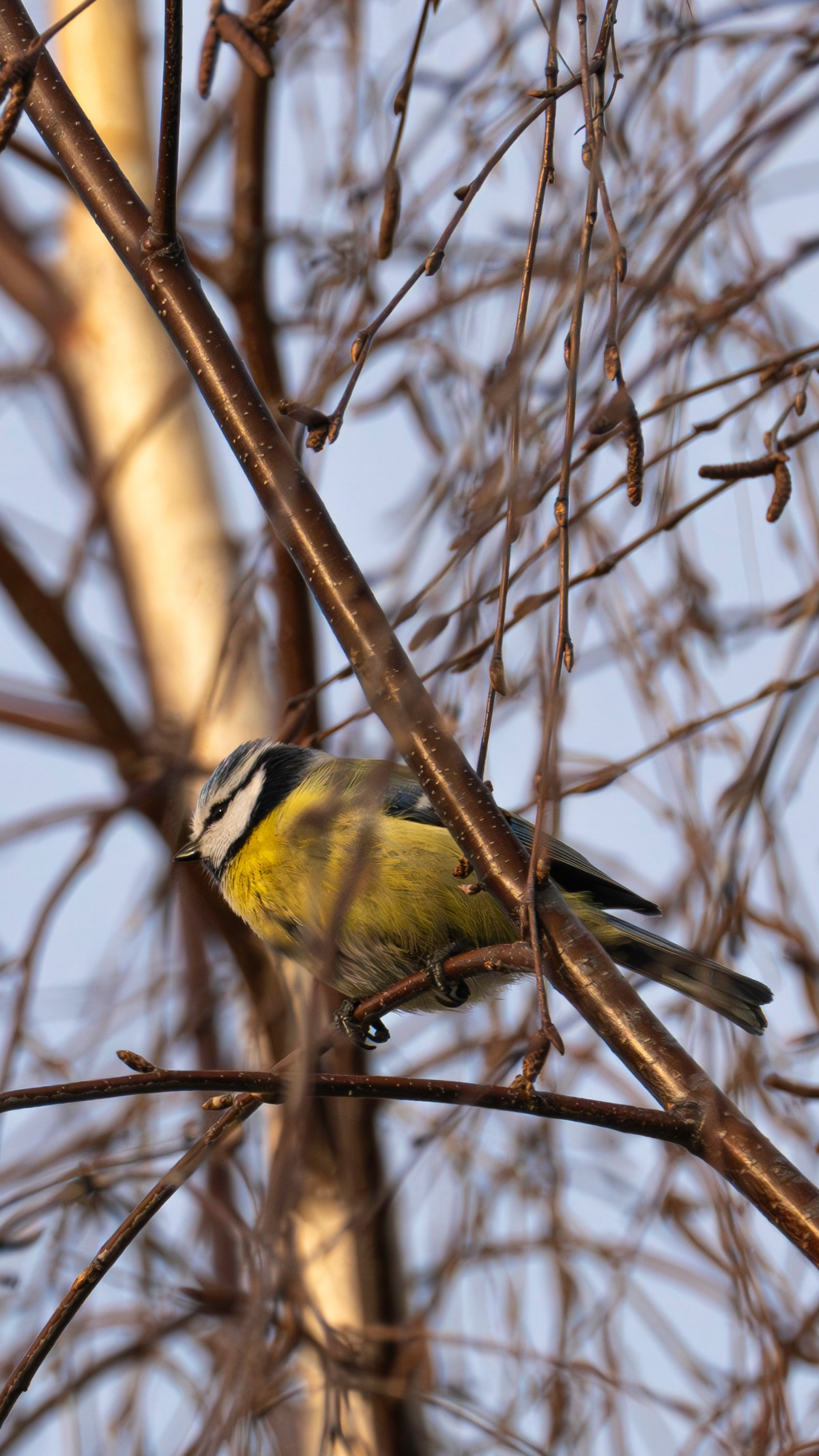 Живность разная. FM Media Сrew. Репортажные фото и видео