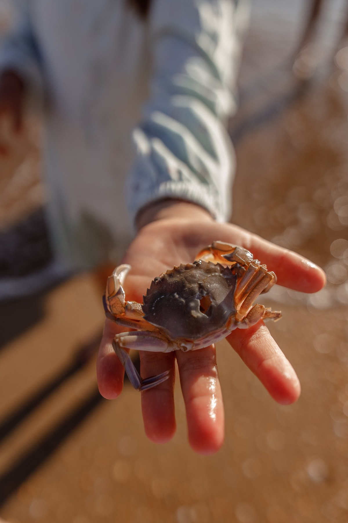 Даша —счастье быть вместе. Семейный фотограф Новороссийск, Анапа, Геленджик — Юлия Давыдова