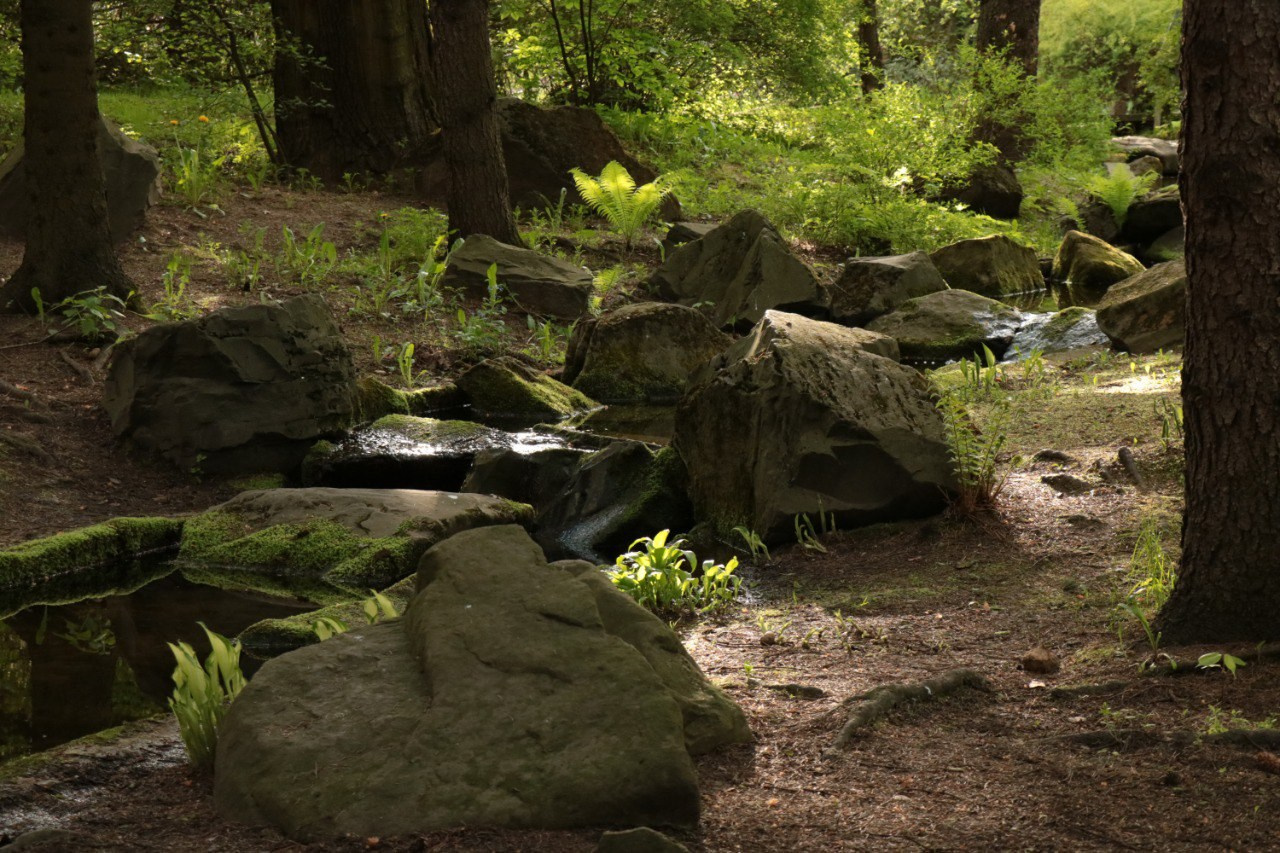 природная фотография