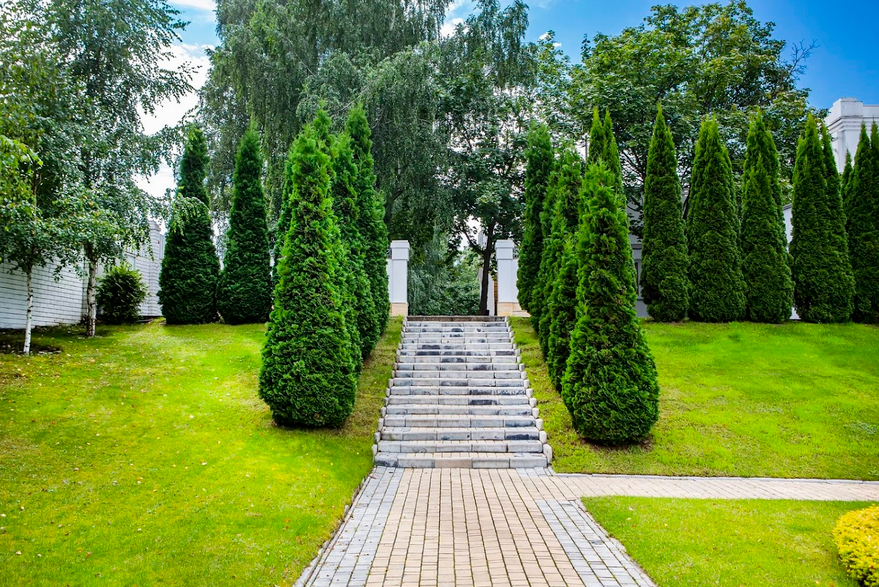 Площадка № 1-7. Свадебный и портретный фотограф Москва