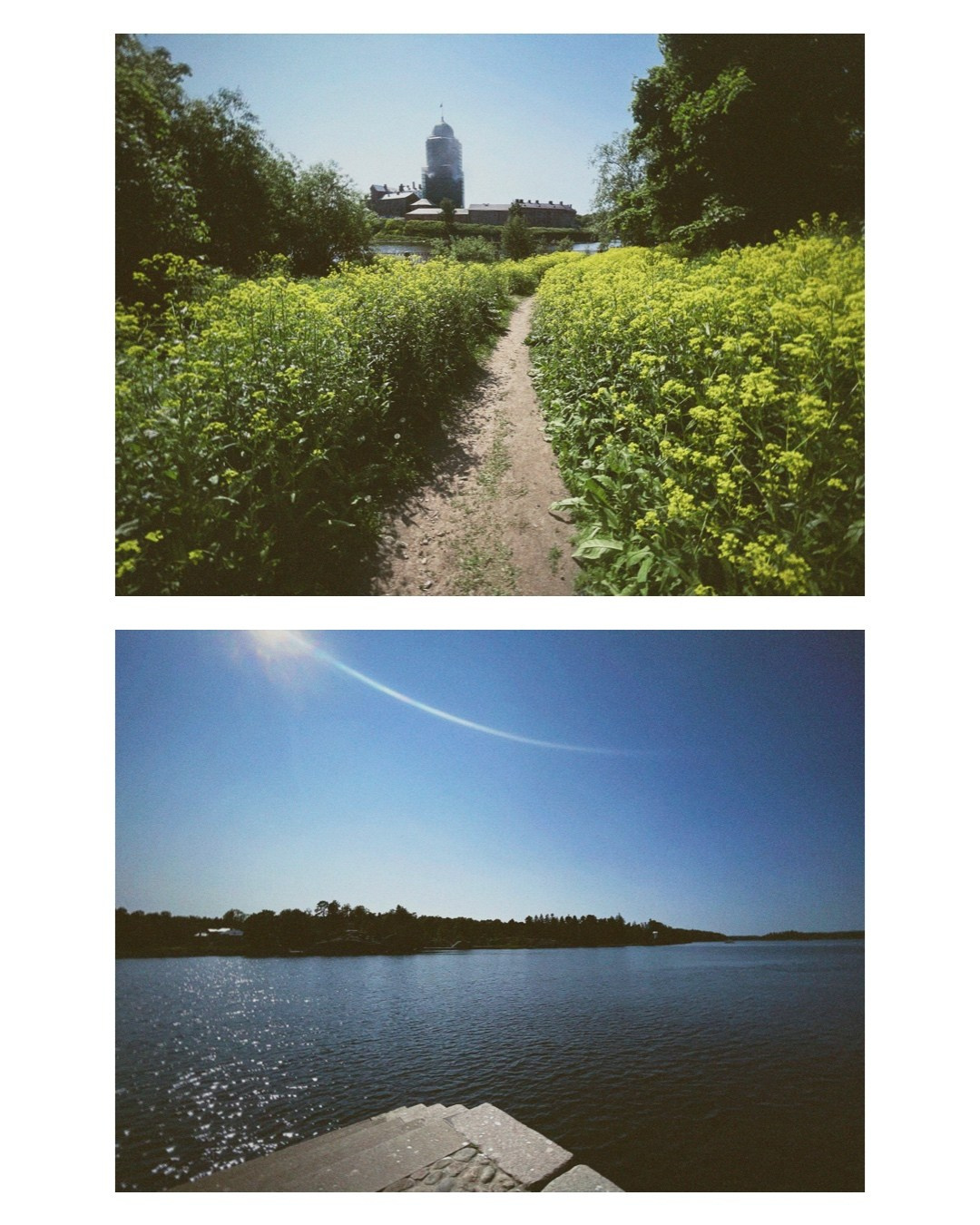 Vyborg. Alina Panover