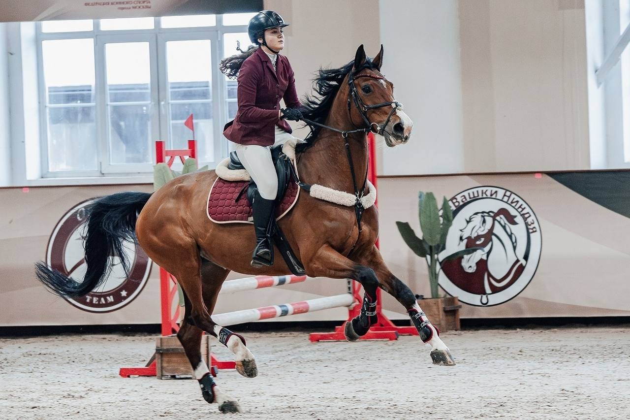 КУБОК МОСКВЫ по КОНКУРУ в КСК «ВИВАТ, РОССИЯ!». Куракина Дарья • Конный фотограф