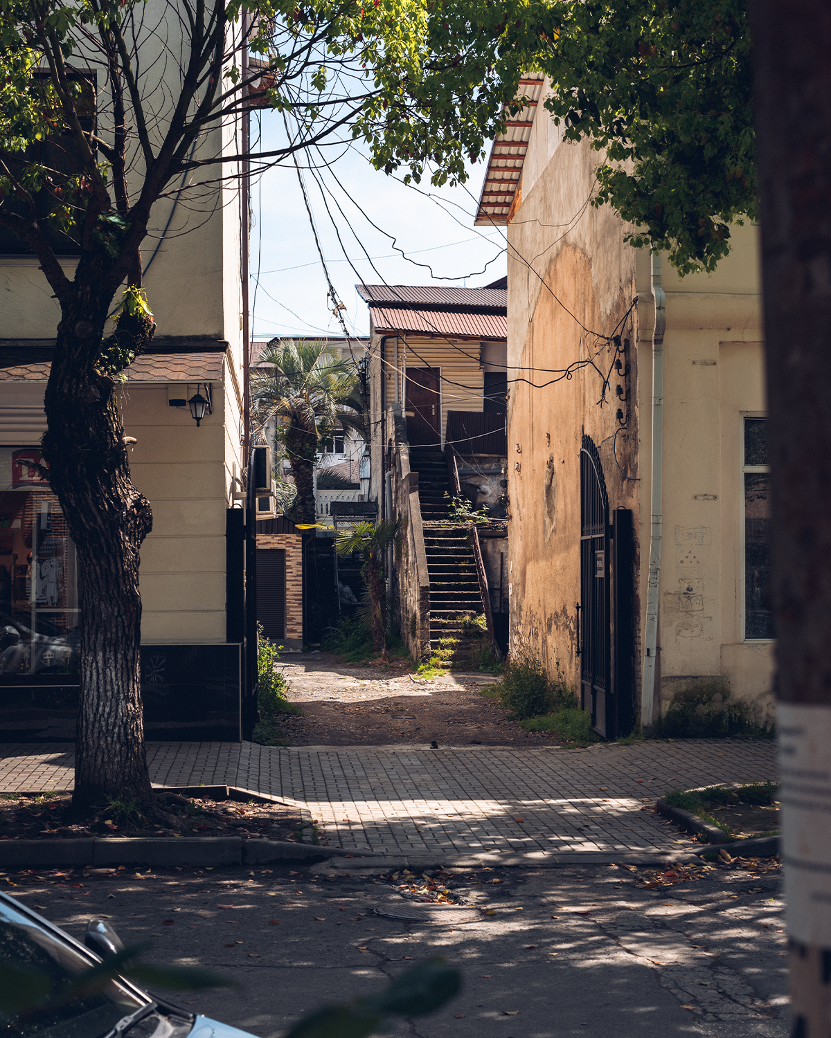 Абхазия в объективе: путешествие рекламного фотографа из Гуанчжоу. Коммерческий и предметный фотограф в Гуанчжоу Коваленко Александр