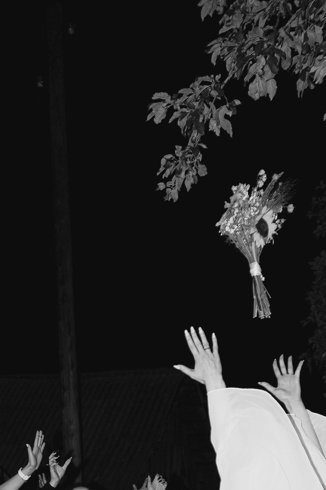 СВАДЬБЫ ♡ (серии). Свадебный фотограф