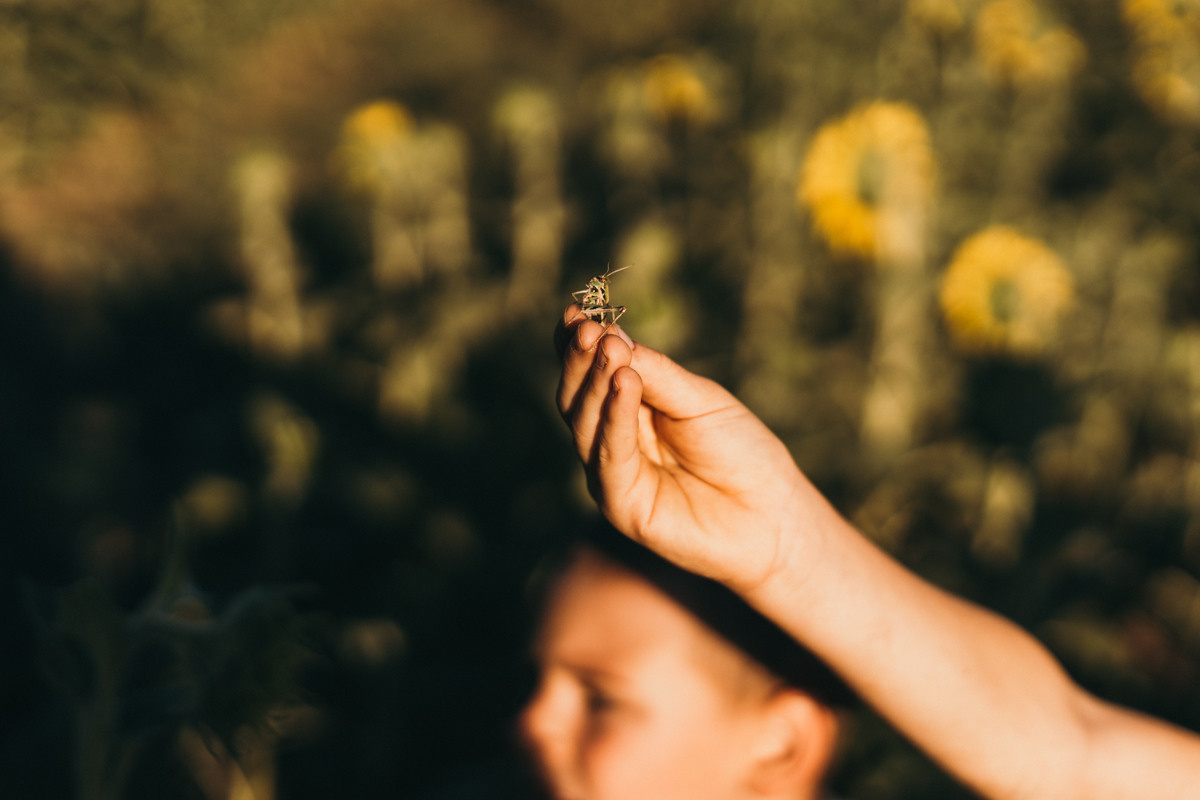 Когда все вместе. Ольга Плаксина фотограф в Саратове