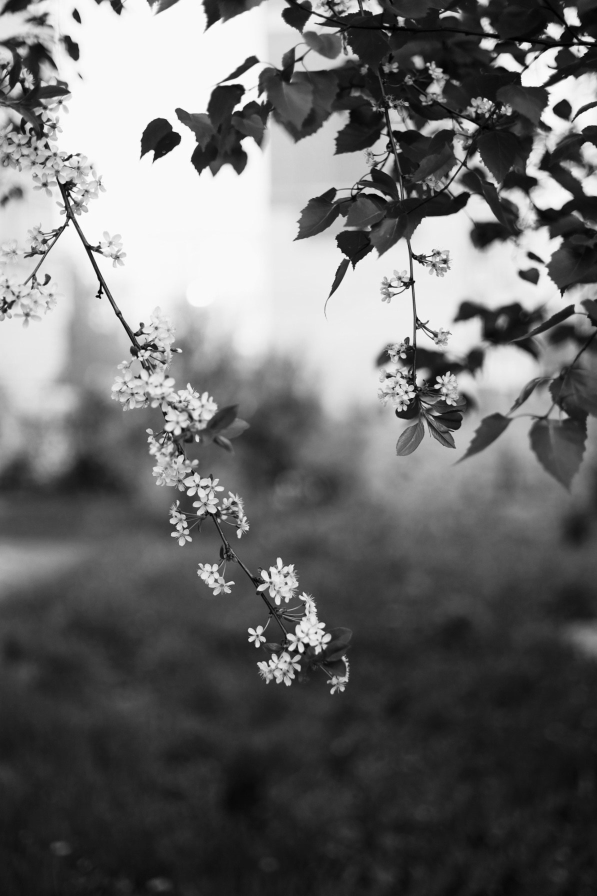 Все, что вокруг меня. Фотограф Евгения Ошкина, Саранск