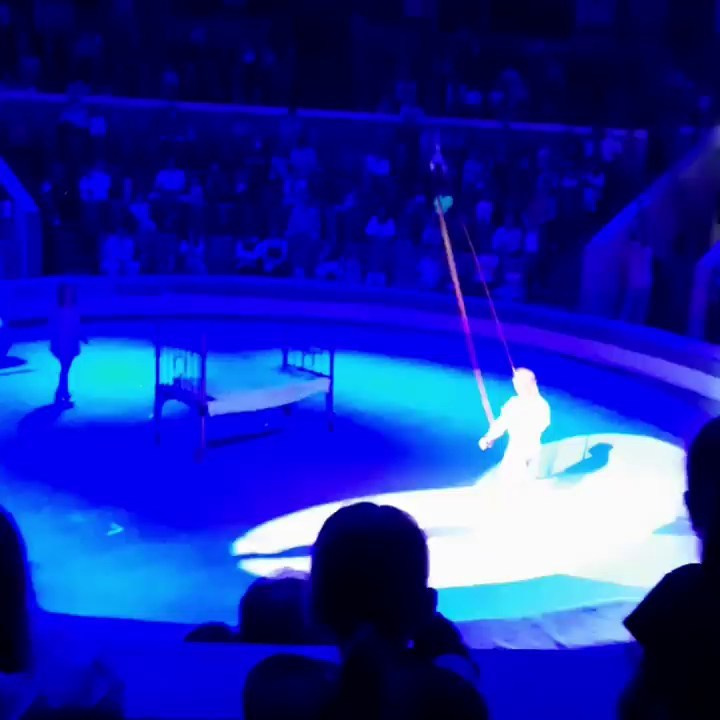 Волшебство цирка: «Девочка и слон» захватил наши сердца!