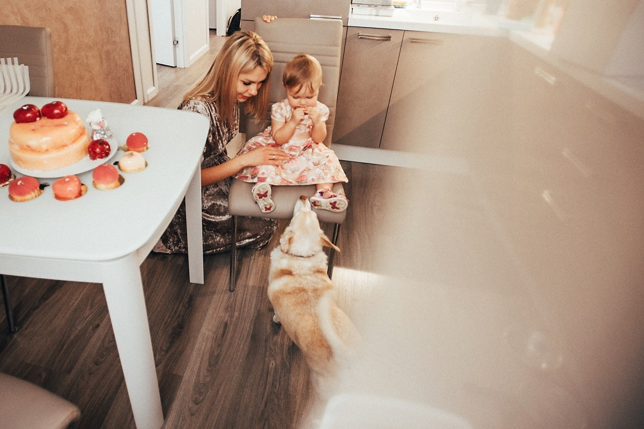 Дорожкины. Фотограф Милка Татьяна