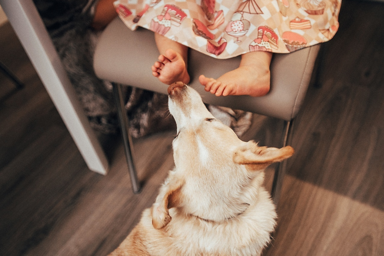 Дорожкины. Фотограф Милка Татьяна