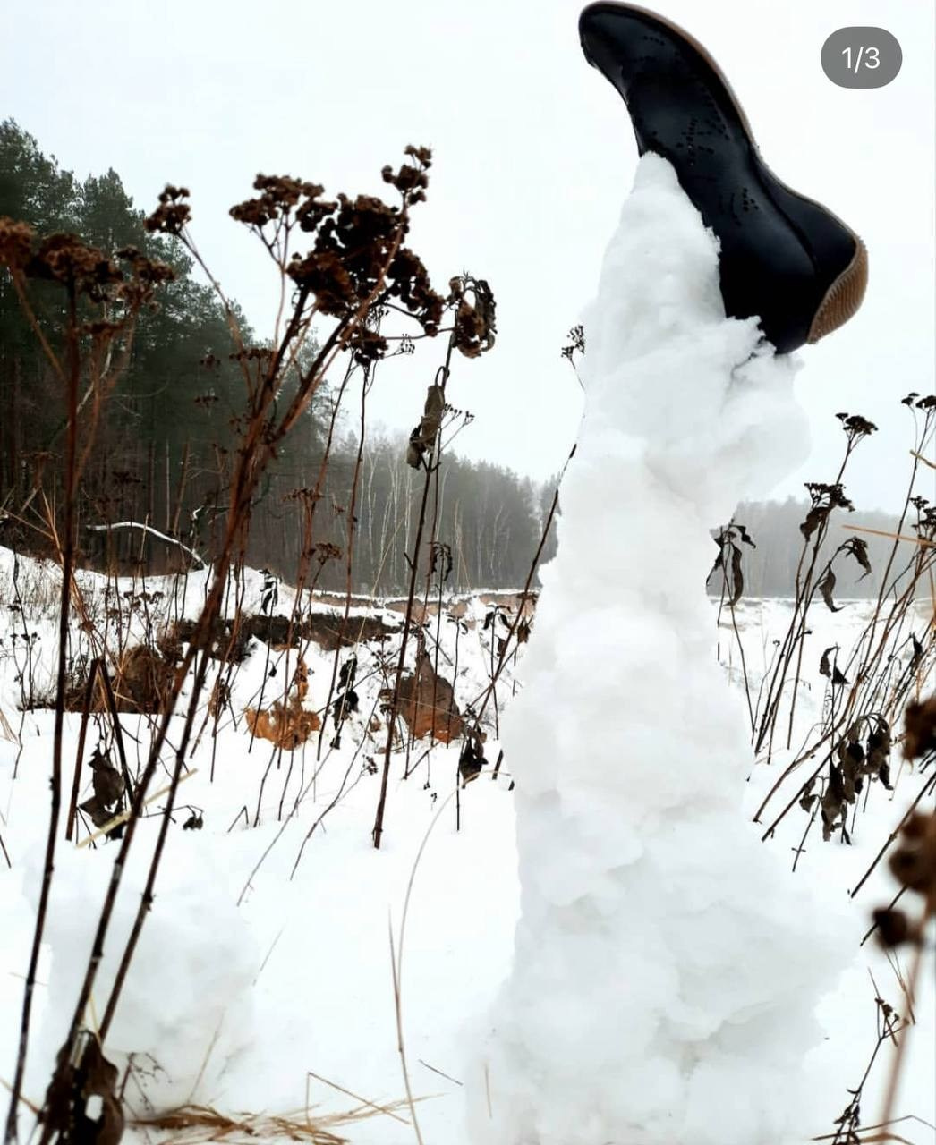 «Хроники холода» 2020. Лилия Ким. Междисциплинарный художник