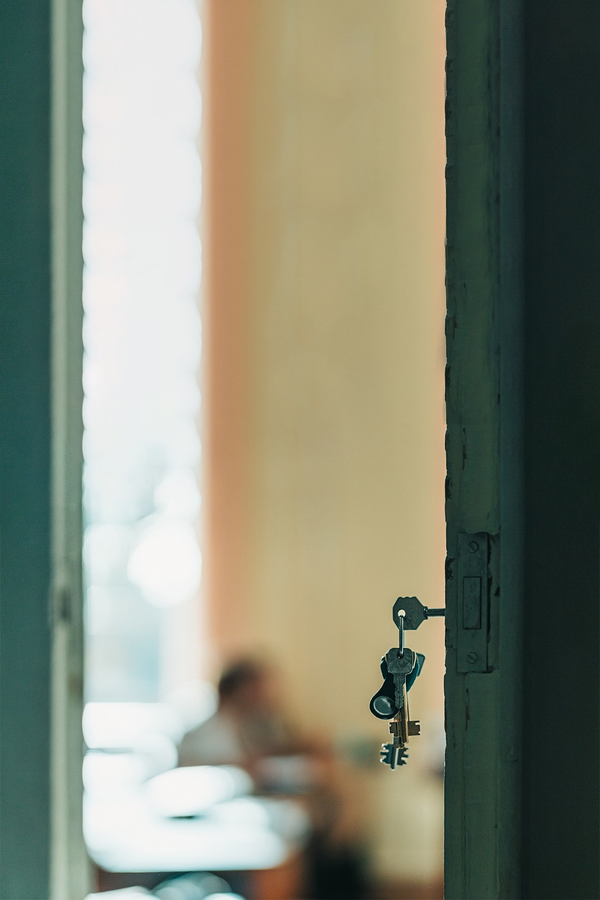 7 класс. Школьные альбомы и альбомы для детского сада. Юлия Осипова. Москва