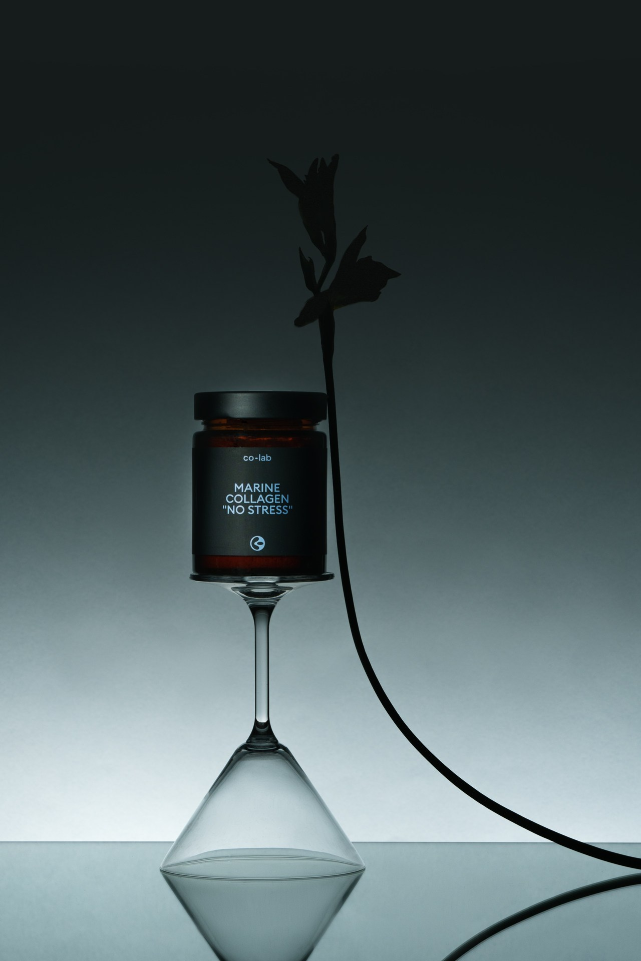 CO-LAB. Andrew Valmus