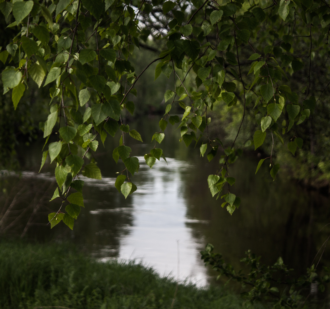 • Природа •. 𝐊𝐈𝐍𝐊. Фотография, как персональный фетиш