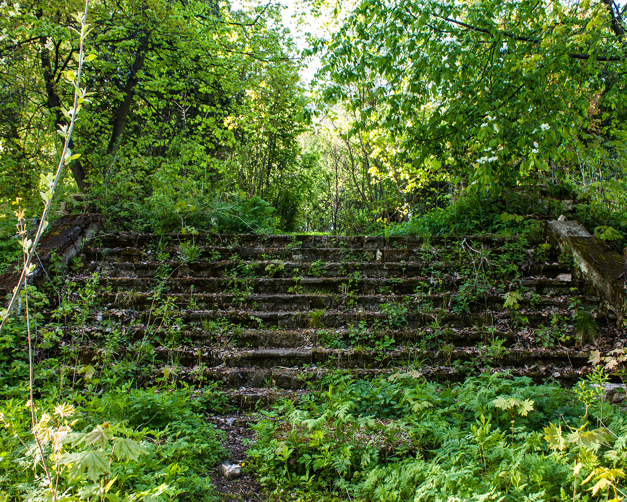 • Природа •. 𝐊𝐈𝐍𝐊. Фотография, как персональный фетиш