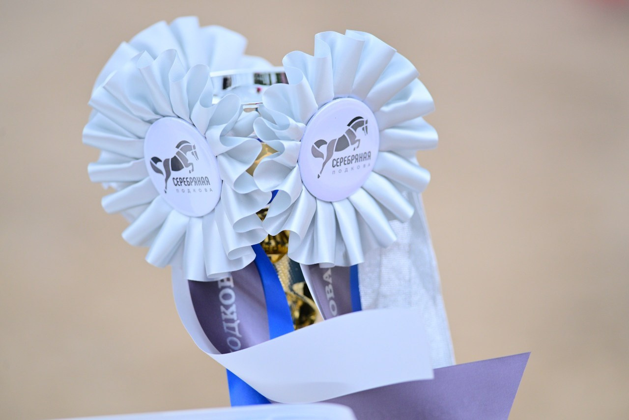 Отзывы. ТУРНИРНАЯ КОННАЯ ФОТОГРАФИЯ, Руднева Ольга и Евгений Адеев