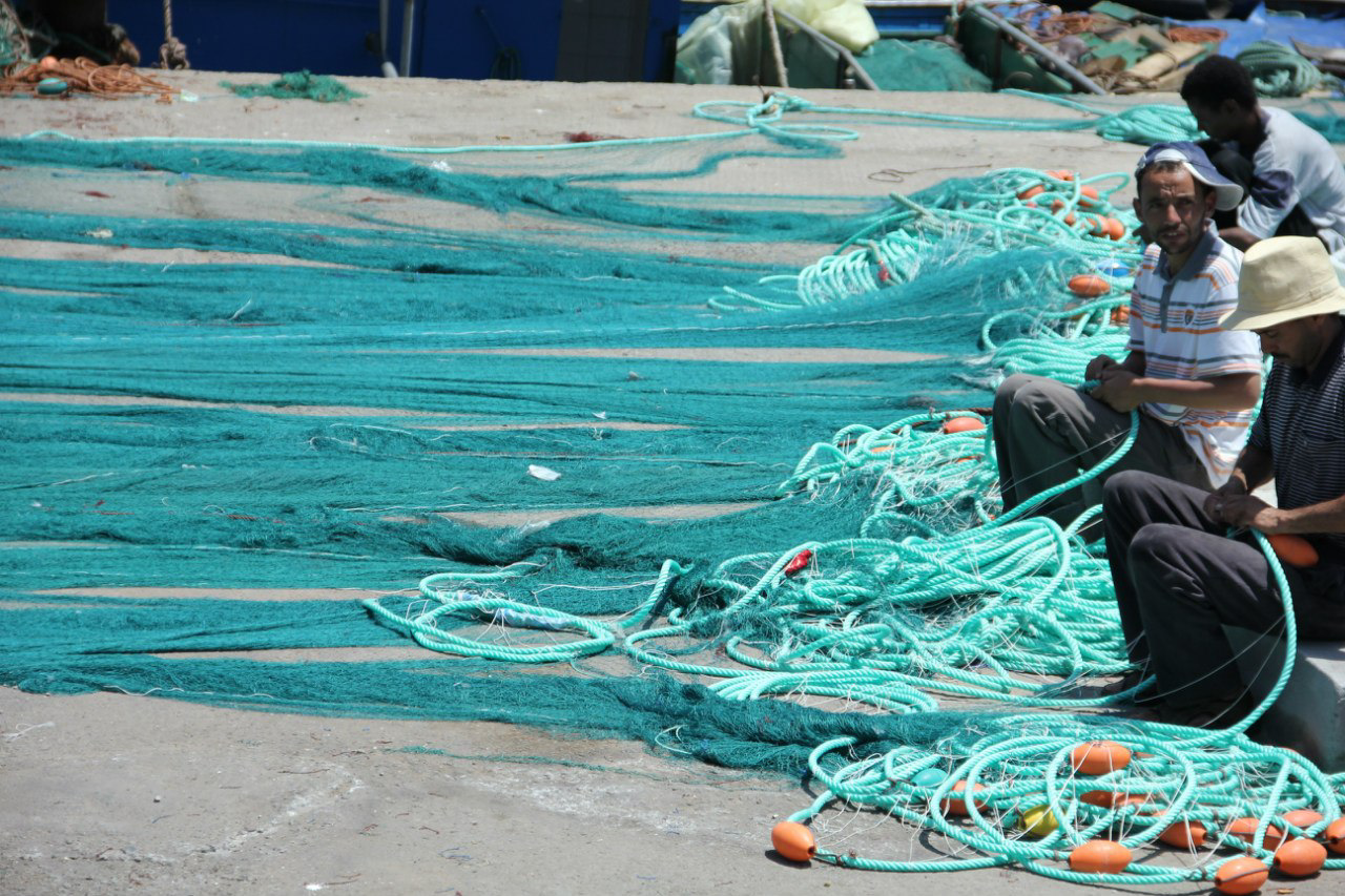 Калейдоскоп путешествий. Семейный и детский фотограф. Москва. Пронина Тома