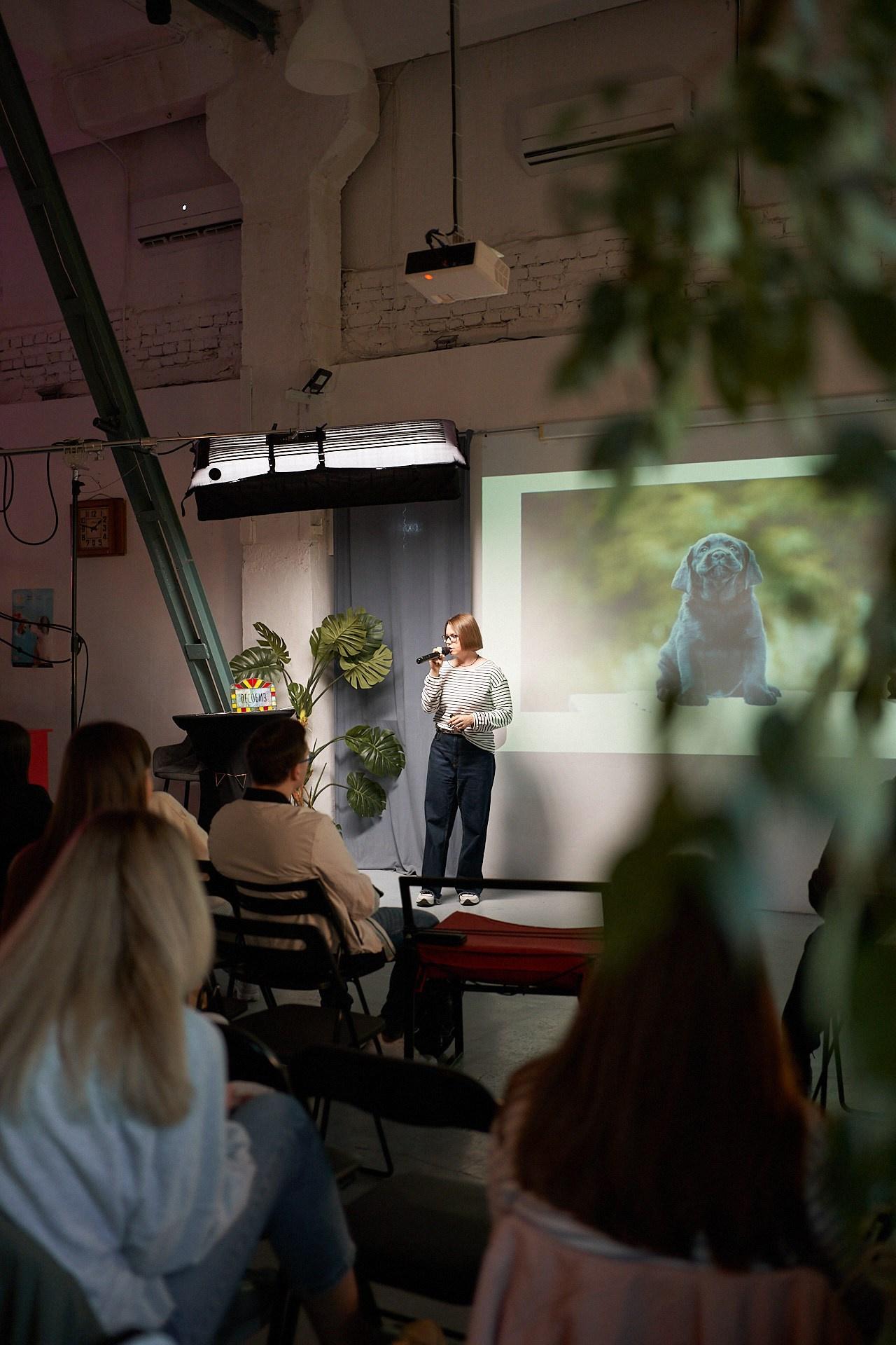 Пёсобиз. Фотограф анималист Москва Дарья
