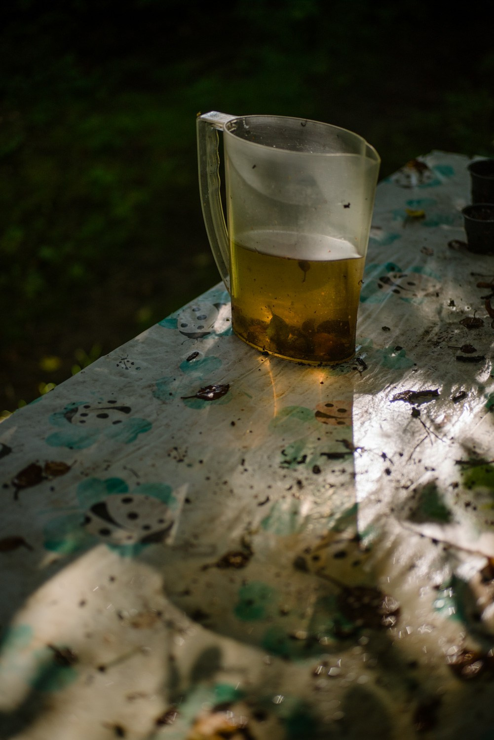 Summer Recurrences. Пётр Антонов